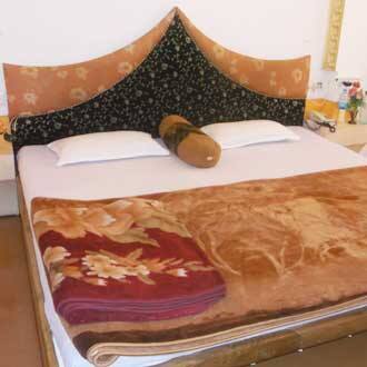 Hotel Umashree, Pachmarhi 2